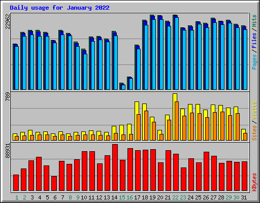 Daily usage for January 2022