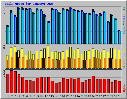Daily usage for January 2023