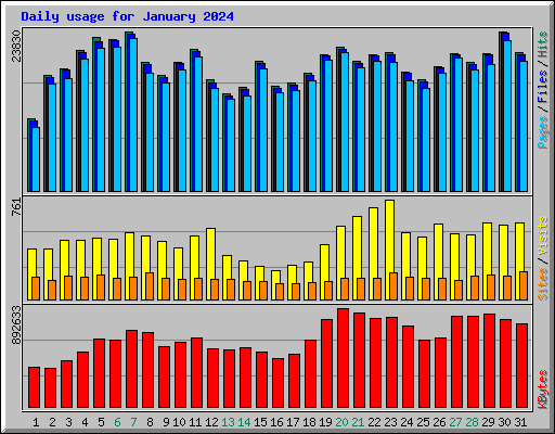 Daily usage for January 2024
