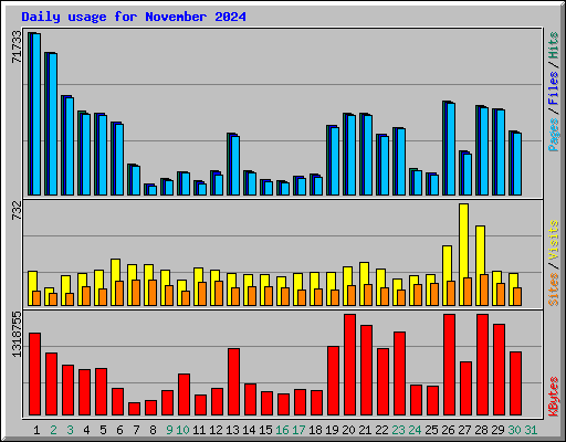 Daily usage for November 2024