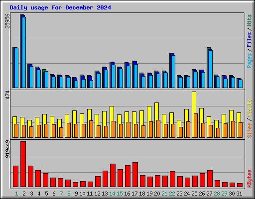 Daily usage for December 2024