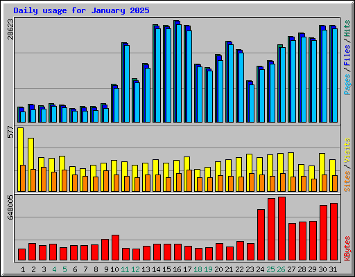 Daily usage for January 2025