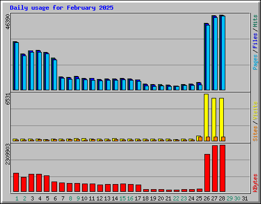 Daily usage for February 2025