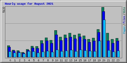 Hourly usage for August 2021
