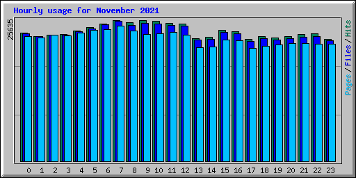 Hourly usage for November 2021