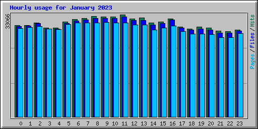 Hourly usage for January 2023