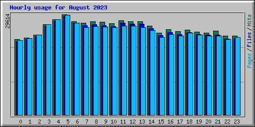 Hourly usage for August 2023