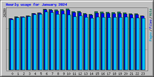Hourly usage for January 2024