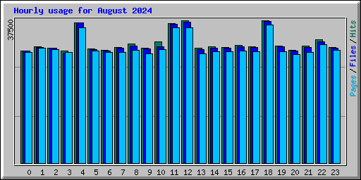 Hourly usage for August 2024