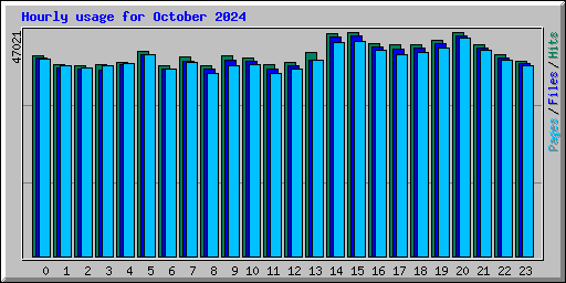 Hourly usage for October 2024
