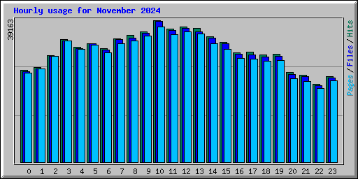 Hourly usage for November 2024