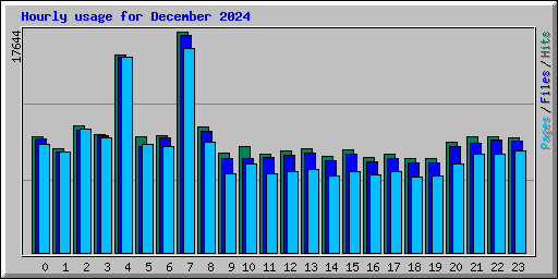 Hourly usage for December 2024