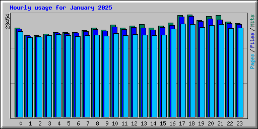 Hourly usage for January 2025