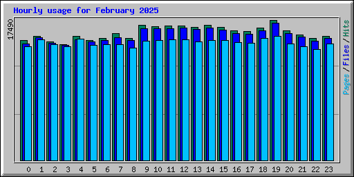 Hourly usage for February 2025