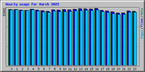 Hourly usage for March 2025