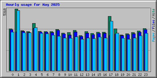 Hourly usage for May 2025